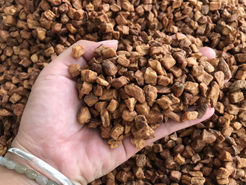 菊苣根新货菊苣根茶炒熟开水直接泡即可支持一件代发