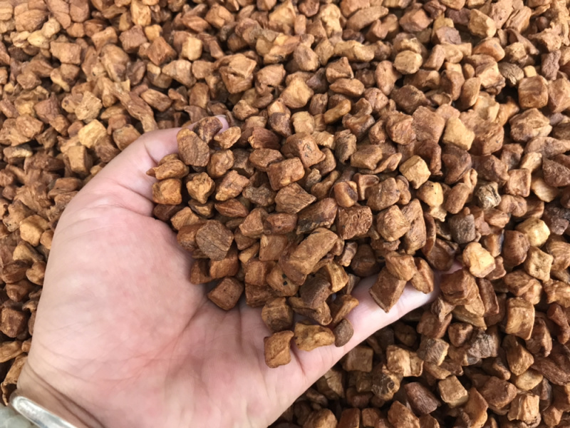 菊苣根新货菊苣根茶炒熟开水直接泡即可支持一件代发