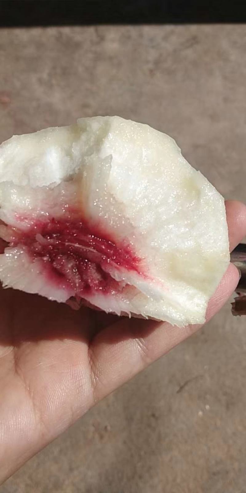 冬桃金秋红蜜，映霜红，口感脆甜，底糖高，硬度好！