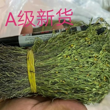 独角金、独角甘，广西本土货源，货干颜色漂亮