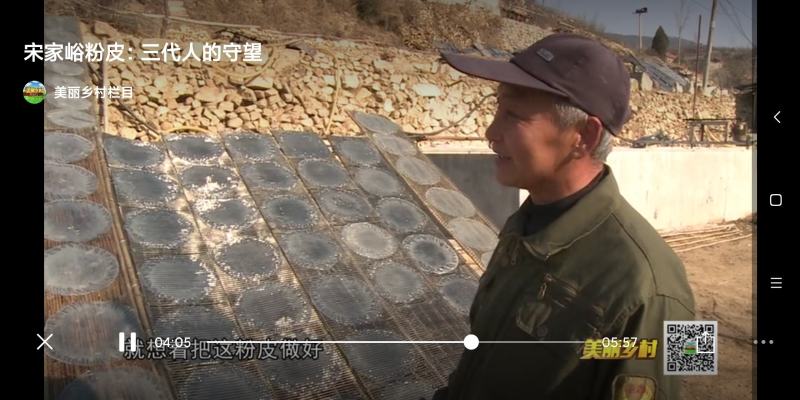 山东济南莱芜区宋家峪纯地瓜粉皮紫薯大小粉皮绿豆大小粉皮