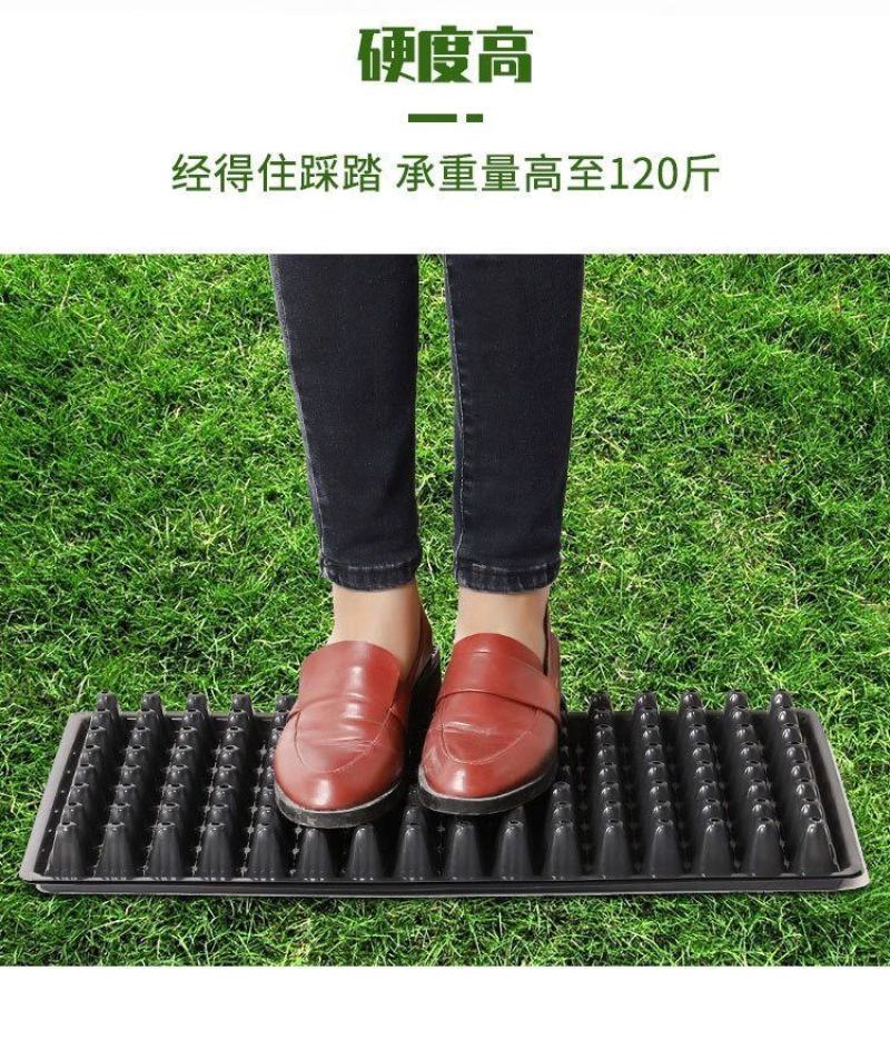 穴盘育苗盘爬藤育苗盒器苗木多肉叶插育苗箱育苗盆托盘包邮