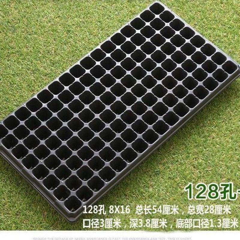 穴盘育苗盘爬藤育苗盒器苗木多肉叶插育苗箱育苗盆托盘包邮