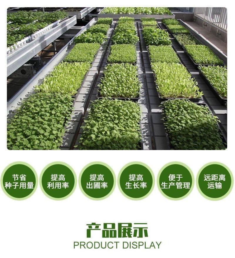 穴盘育苗盘爬藤育苗盒器苗木多肉叶插育苗箱育苗盆托盘包邮