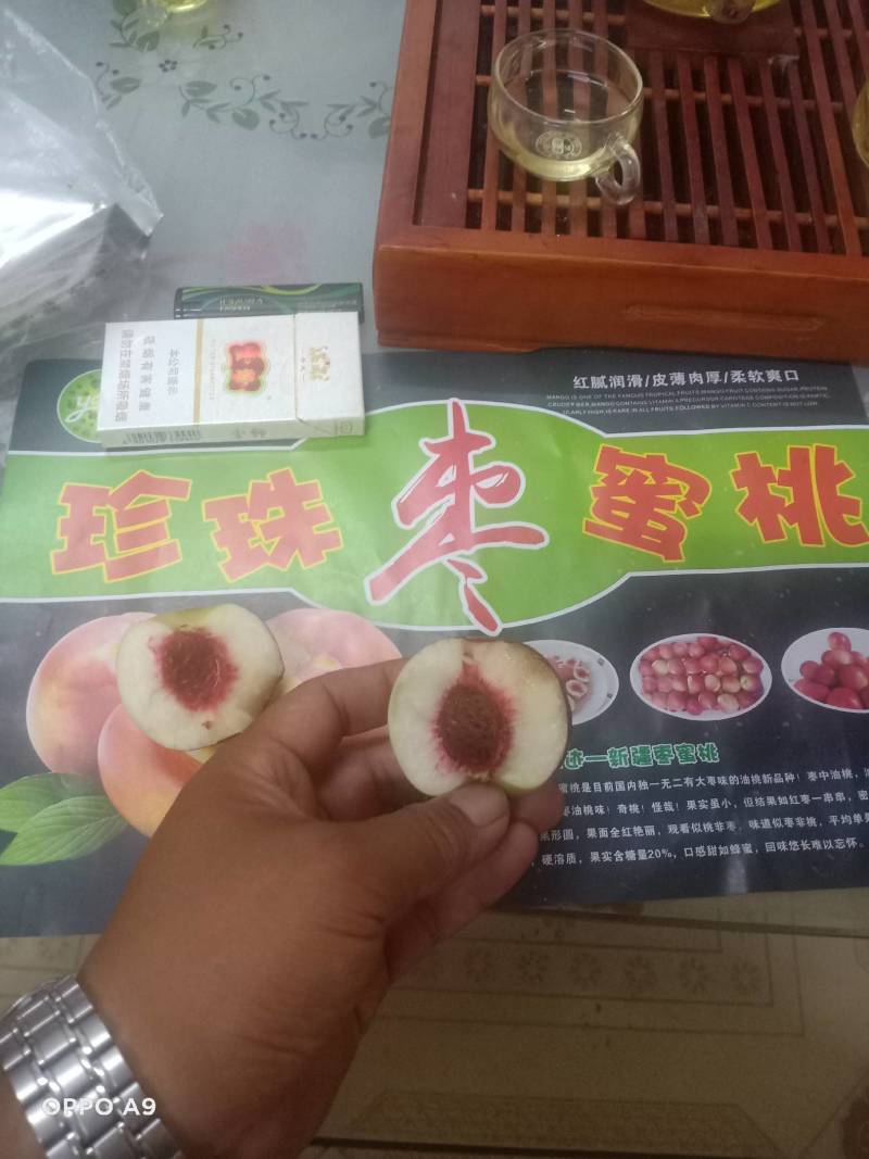 山东珍珠枣油桃价格珍珠油桃产地供应大量批发