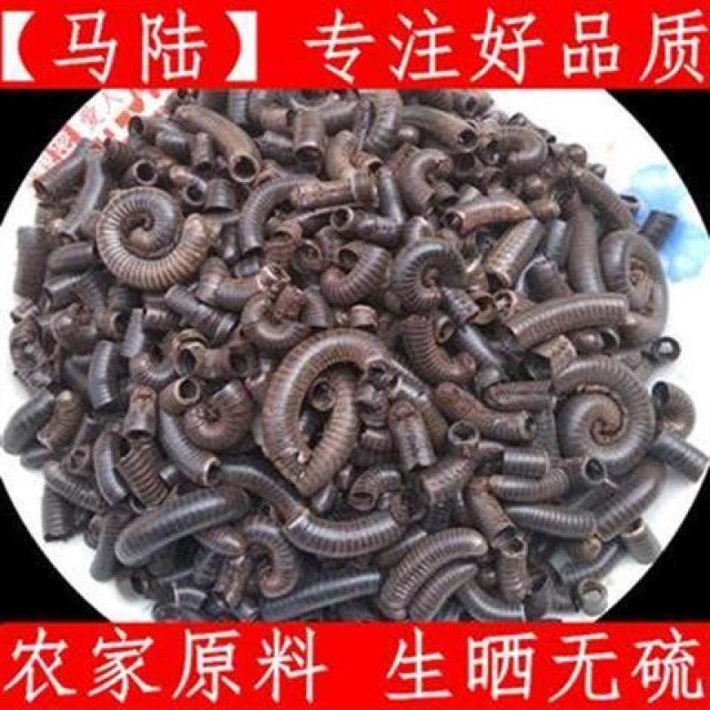 马陆虫山蛰虫千足虫百足虫马陆山蛩虫百节虫