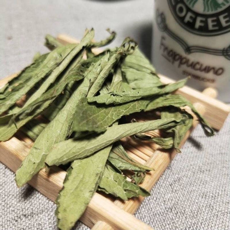 新货甜叶菊甜菊叶茶用精品令售各种外用药材