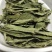 新货甜叶菊甜菊叶茶用精品令售各种外用药材