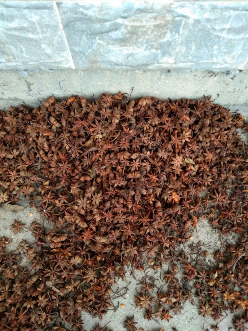 干货八角本地水烫果需要的可以联系