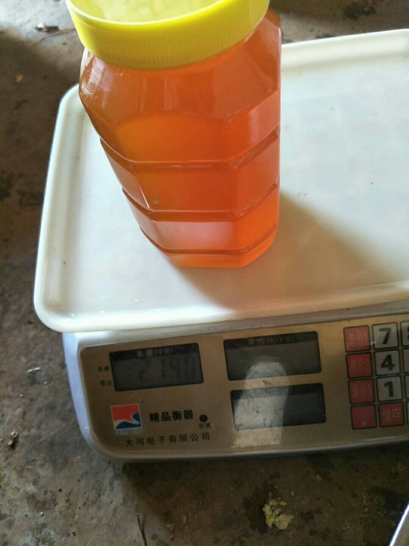 云南省红河州蒙自市西北勒半野蜂蜜