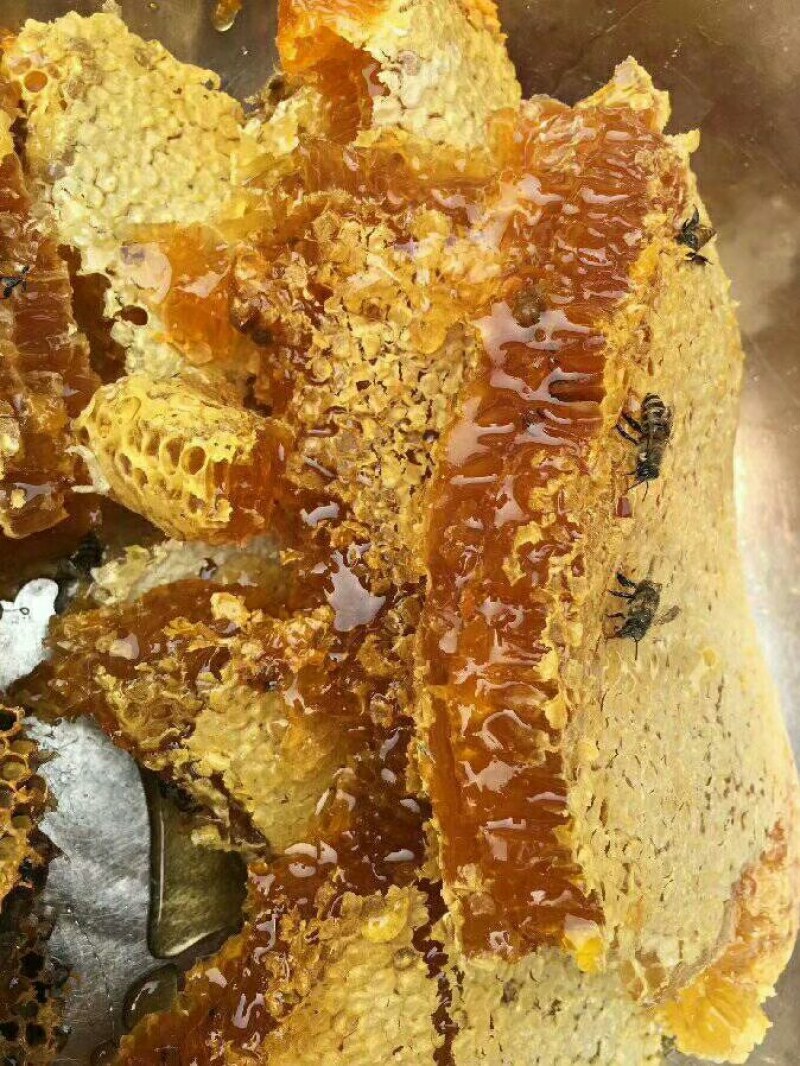 云南省红河州蒙自市西北勒半野蜂蜜
