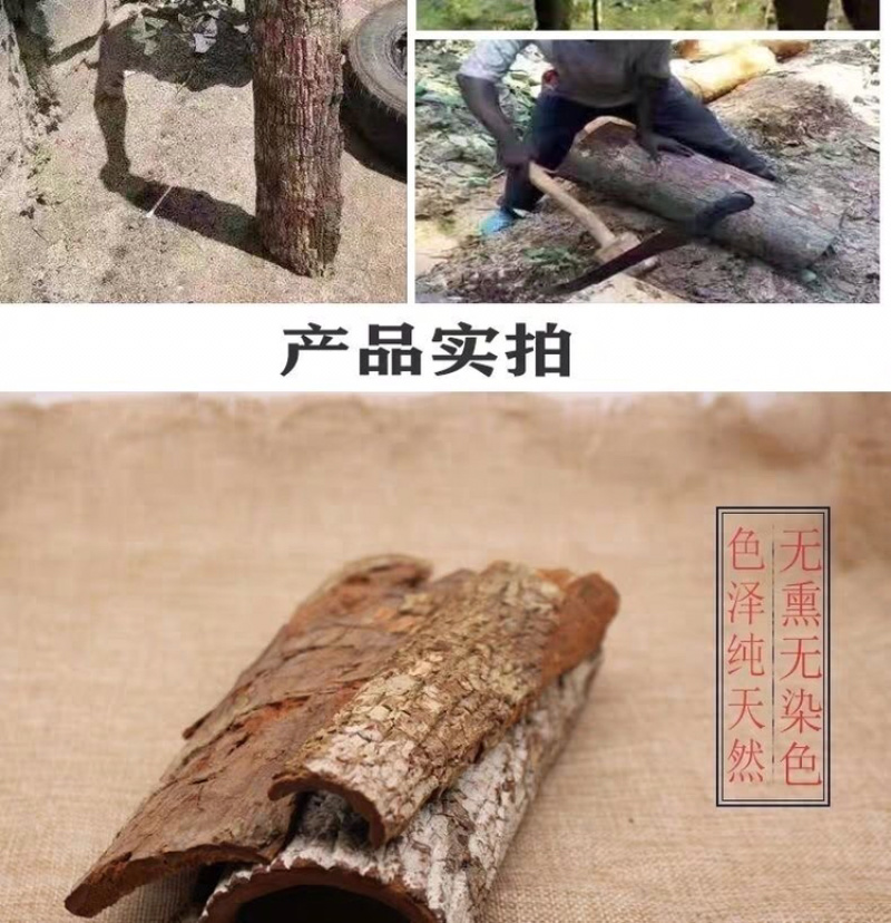 卡宾达树皮正宗非洲卡宾达树皮安哥拉树皮正品非洲