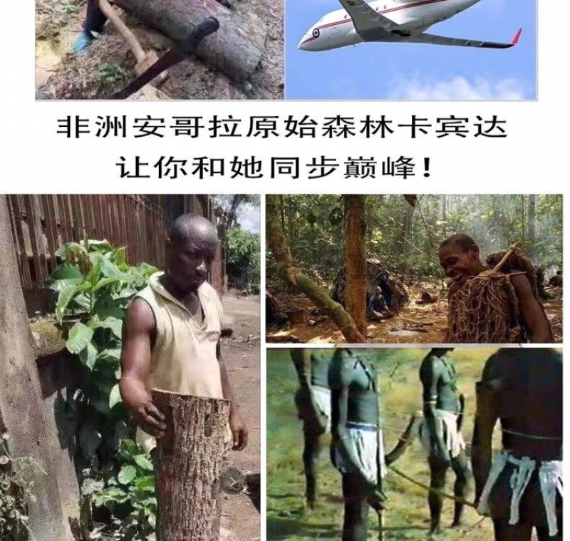 卡宾达树皮正宗非洲卡宾达树皮安哥拉树皮正品非洲