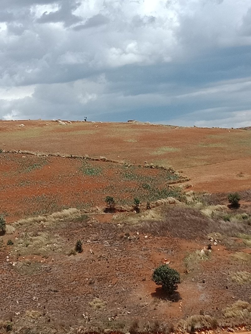 山地出租自家山地出租，水路通，价格合适欢迎咨询