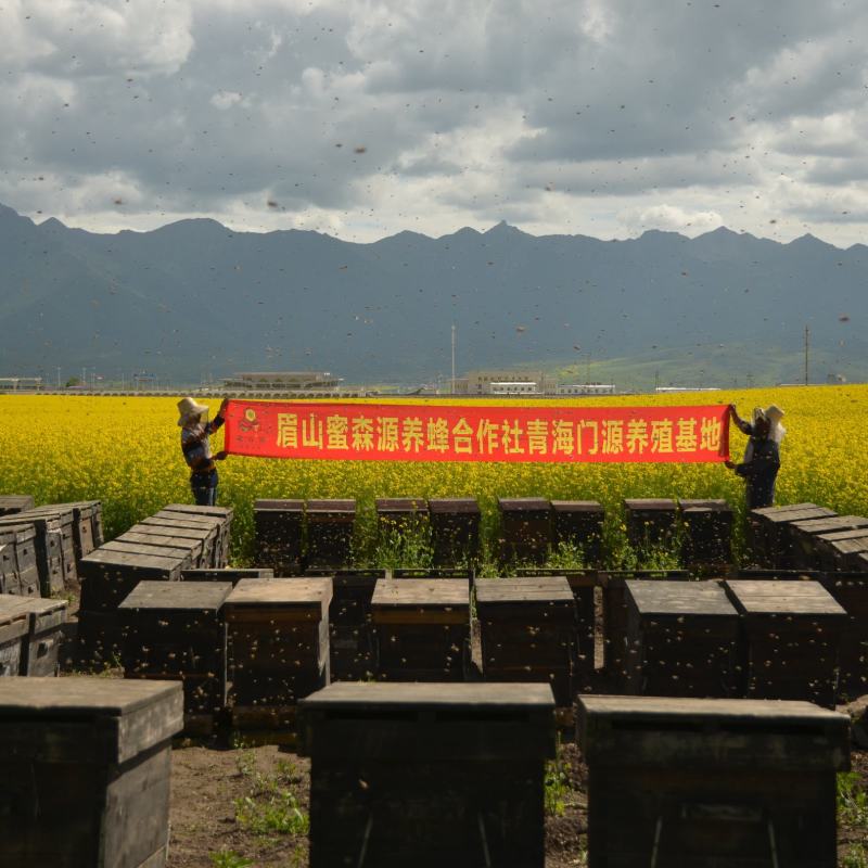 2022年农家纯油菜花蜜天然结晶油菜蜜正宗菜花白蜂蜜