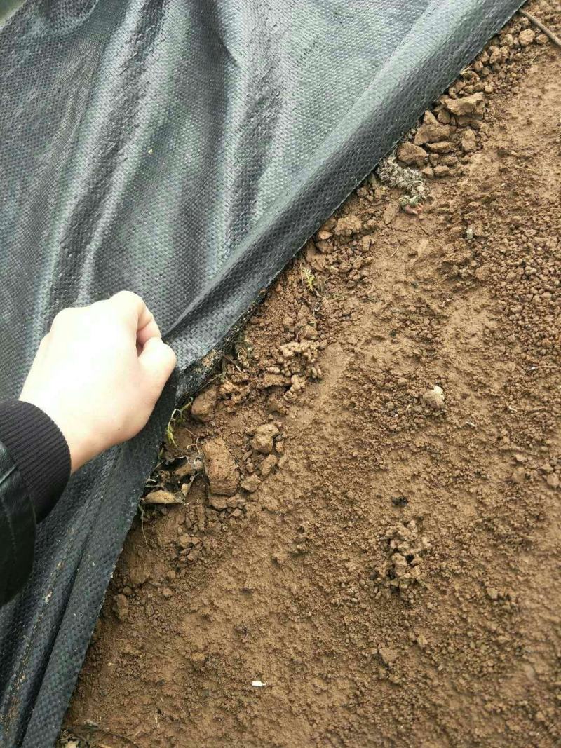 防草布除草布打孔切片宽度支持定做可开发票