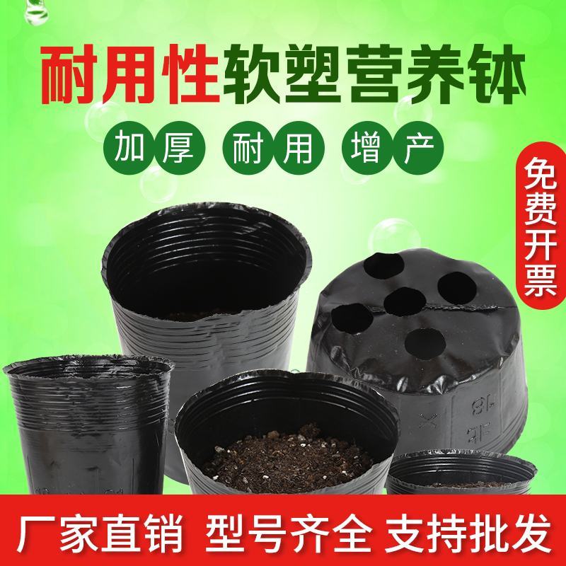 营养钵育苗袋营养袋营养杯育苗盆种植穴盆育苗盘花盆一次性加
