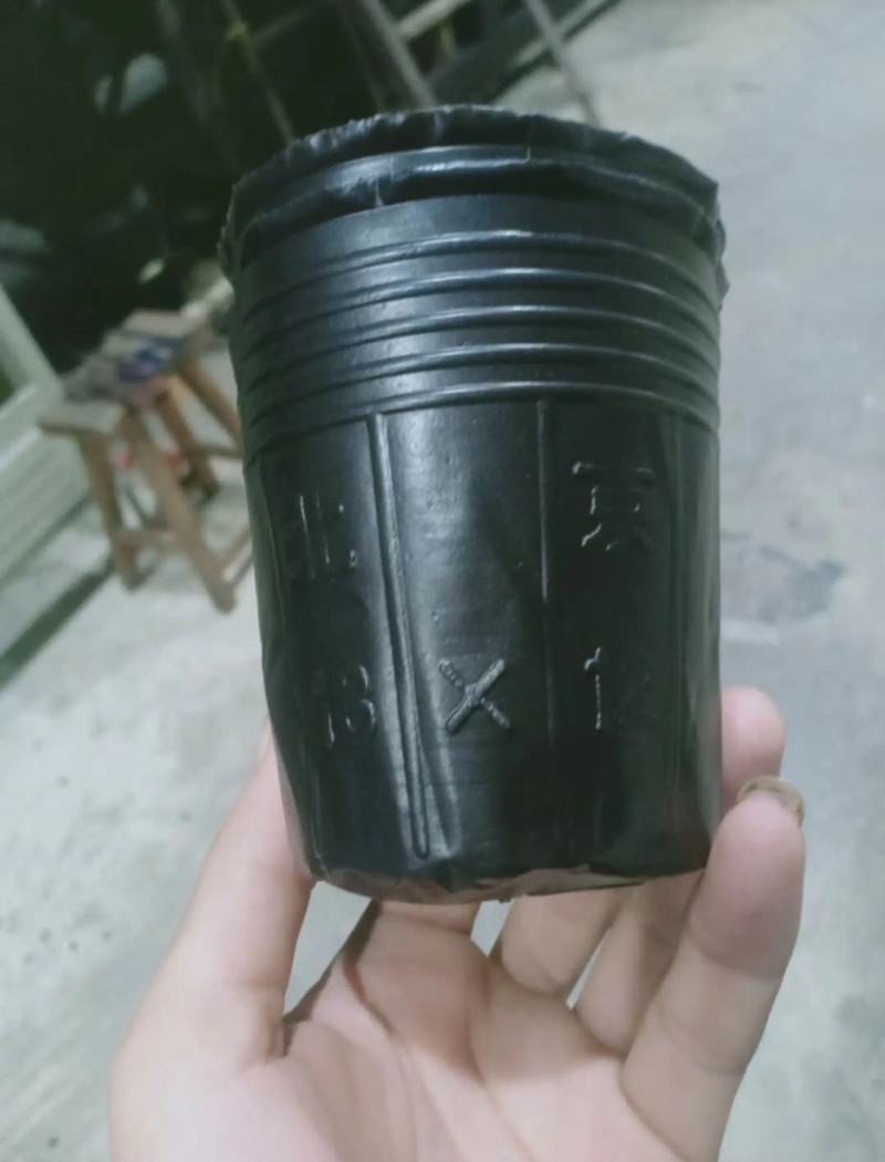 营养钵育苗袋营养袋营养杯育苗盆种植穴盆育苗盘花盆一次性加