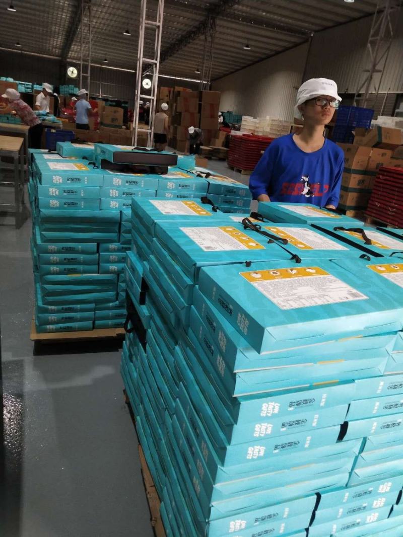 拉米娜礼盒苏轼月饼，广式月饼礼盒一件40盒