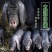 高产母猪销售品种齐全防疫严格支持全国发货