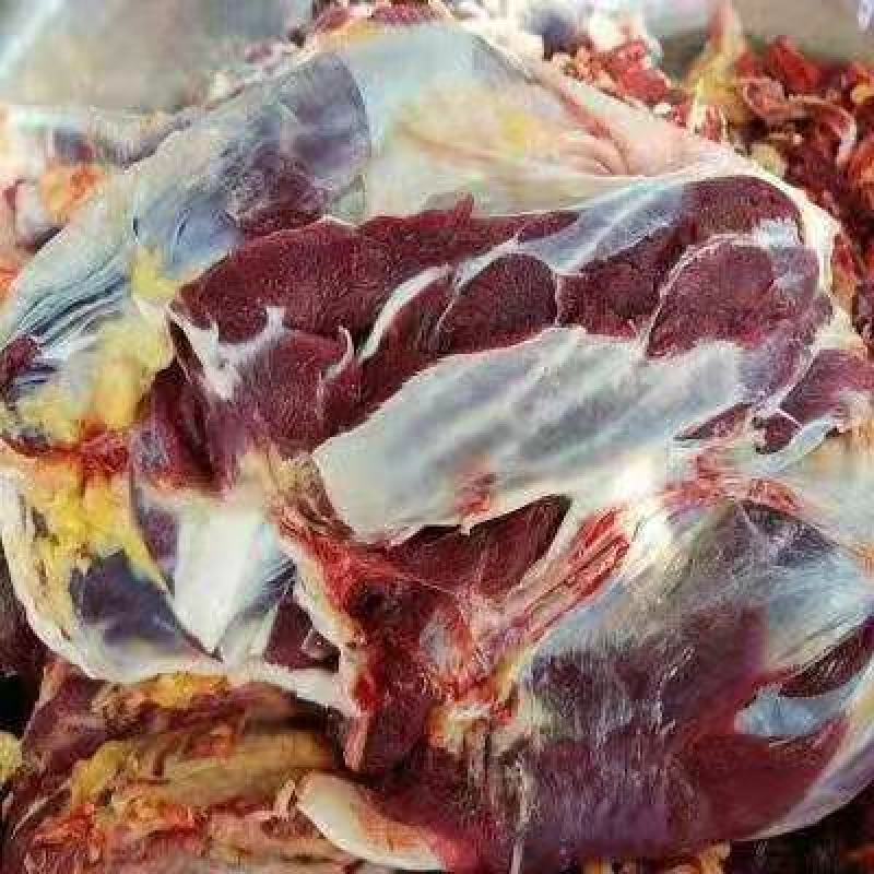 阿坝州正宗新鲜牦牛肉，假一赔十，都是现杀的