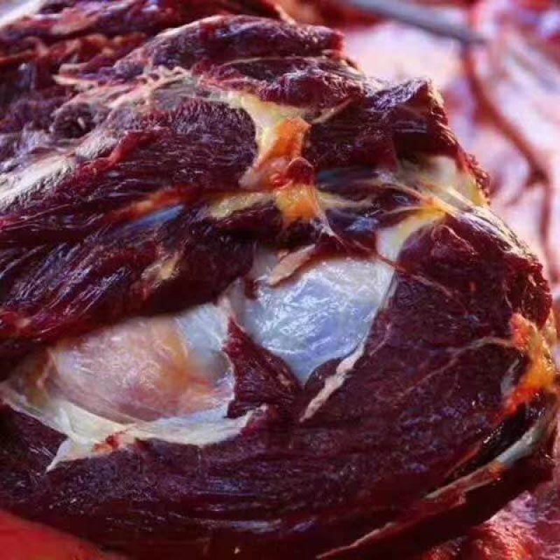 阿坝州正宗新鲜牦牛肉，假一赔十，都是现杀的