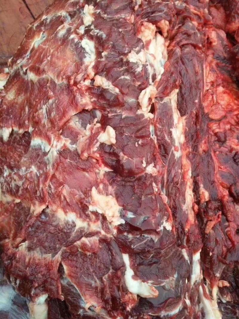 阿坝州正宗新鲜牦牛肉，假一赔十，都是现杀的