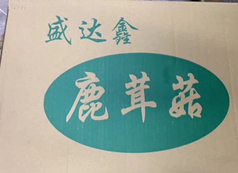精品鹿茸菇一手货源产地直发，规格齐全，可视频看货代发全国