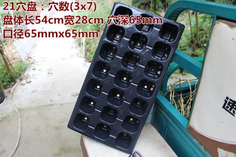 育苗盘穴盘60克21穴32穴50盆72穴105蔬菜辣椒盘