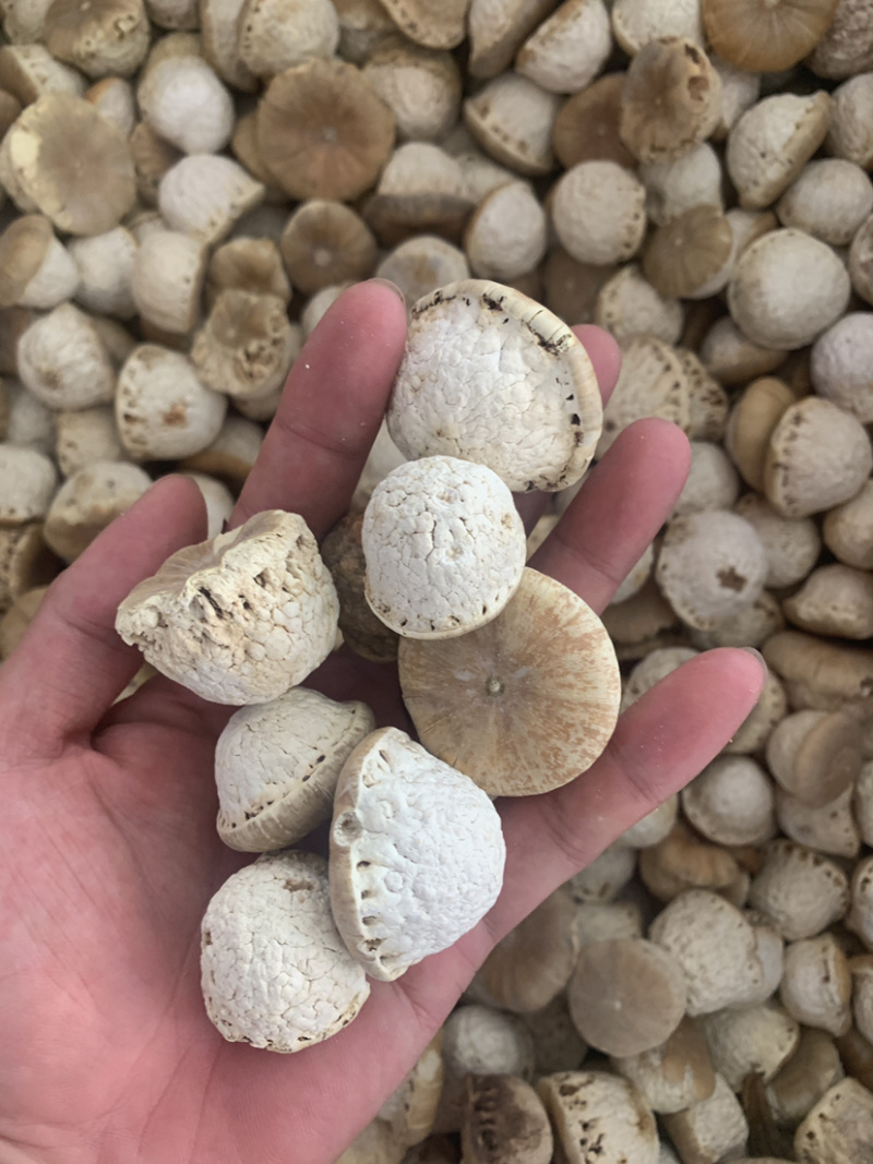 风流果一公斤起批量大价优