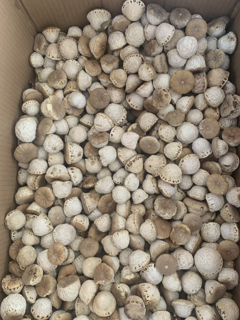 风流果一公斤起批量大价优