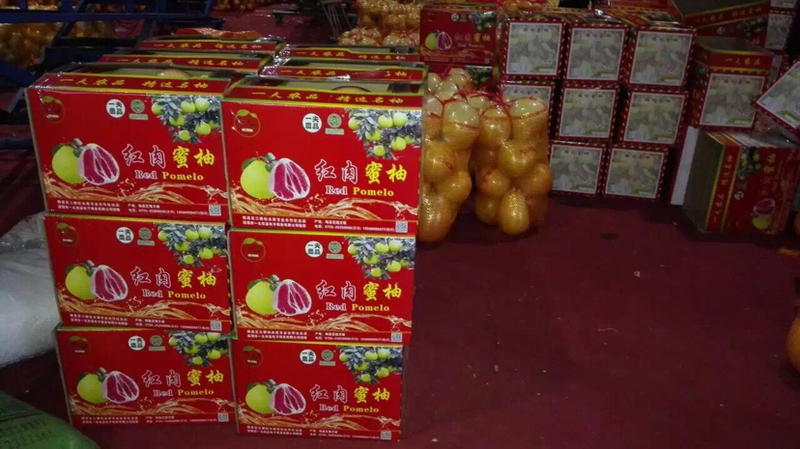 梅州红肉蜜柚三红蜜柚农场直供大量供应支持线上交易