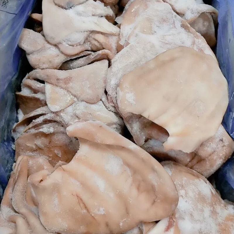 冷冻新鲜猪耳片猪耳尖生猪耳无根猪耳朵无根猪耳片1