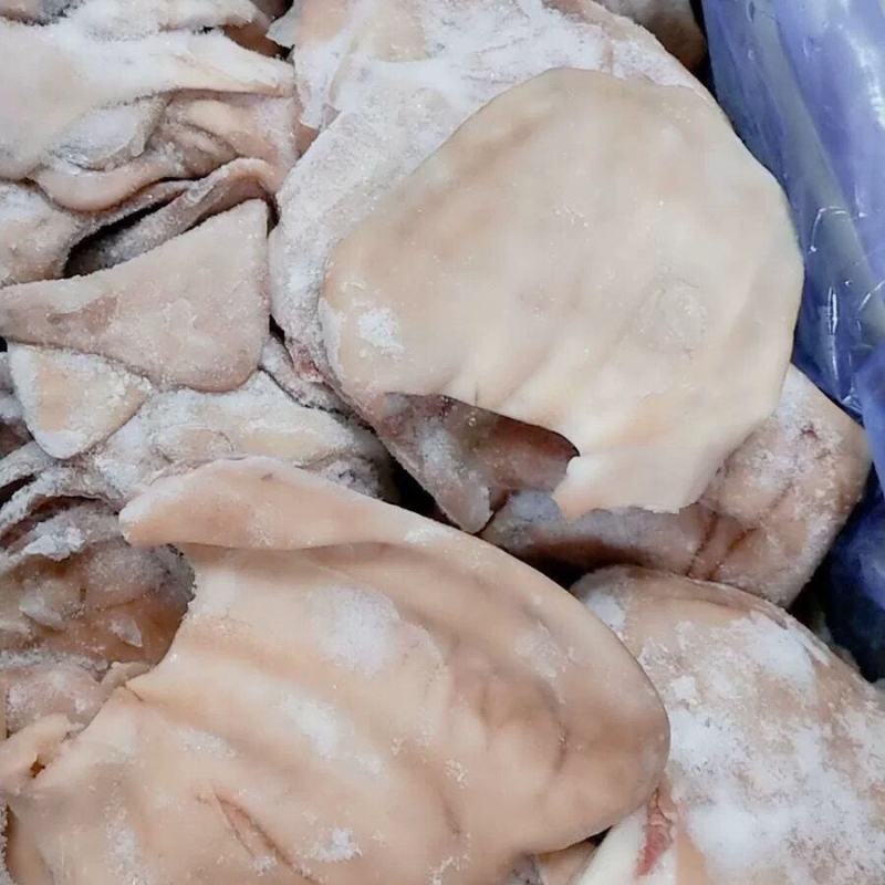 冷冻新鲜猪耳片猪耳尖生猪耳无根猪耳朵无根猪耳片1