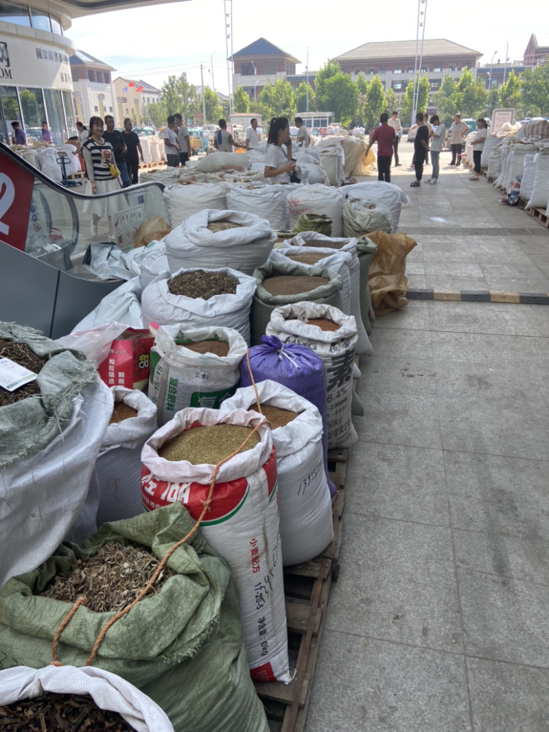 中药材实体店铺中药材代抓代加工按方抓药