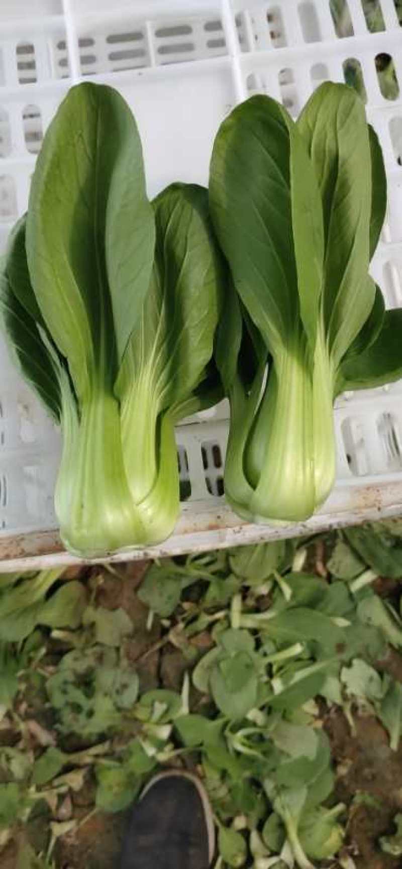 精品中课，整车发不诚心勿扰