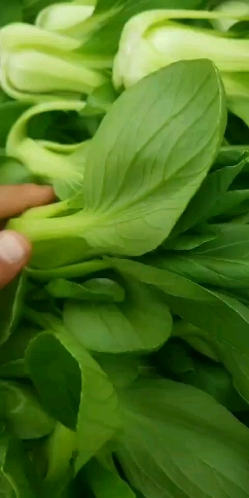 精品中课，整车发不诚心勿扰