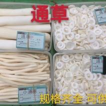 通草无硫净货通草规格齐全产地直销可供批发零售量大从优