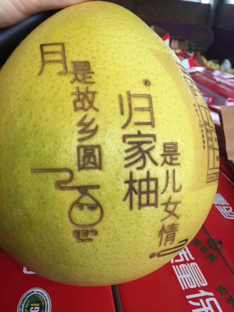 三红蜜柚红肉、橙肉蜜柚产区大量供应诚信经营