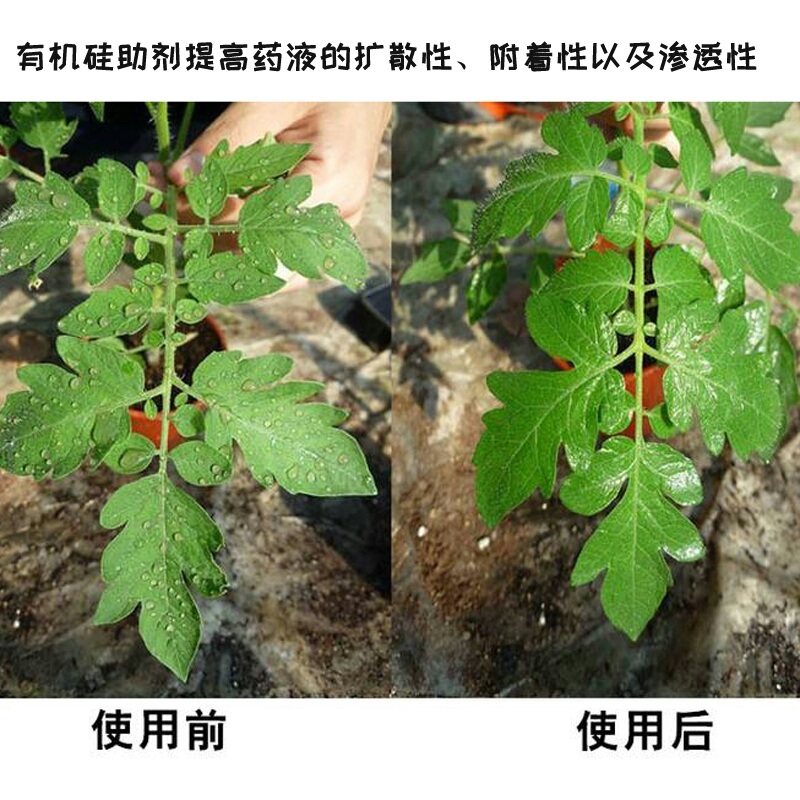 农用有机硅助剂高渗透剂叶面肥增效剂扩散剂氮酮10ml