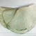 【热销】微山湖2021年新荷叶整张精品荷叶