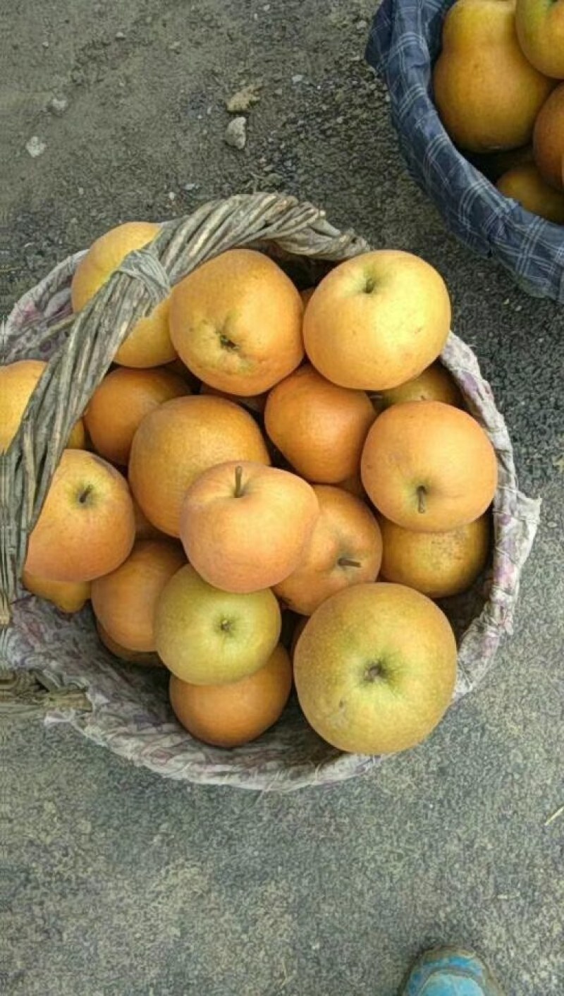 黄花梨黄花梨黄花梨