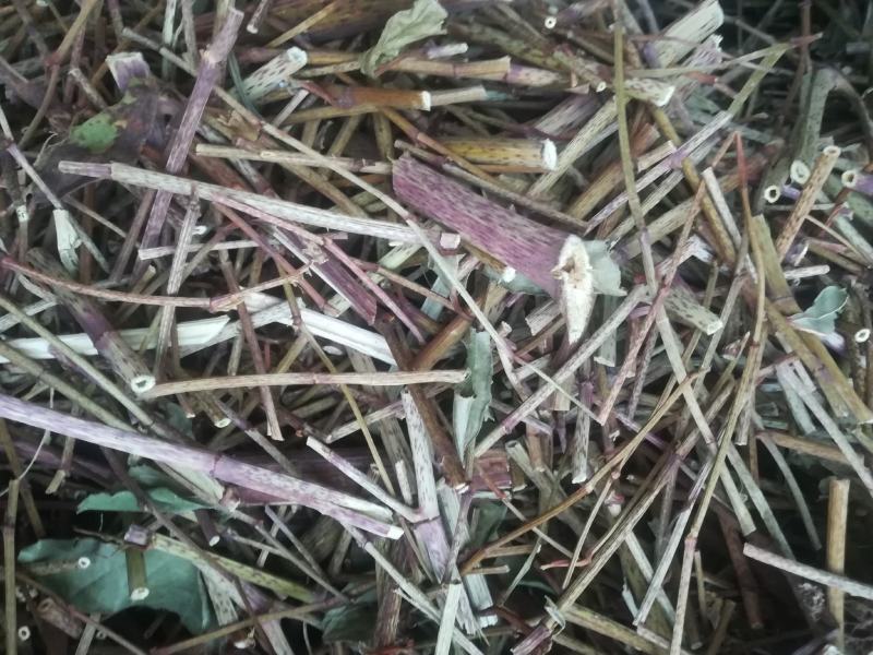 虎杖枝杆干品野生苦杖枝茎切段中药材