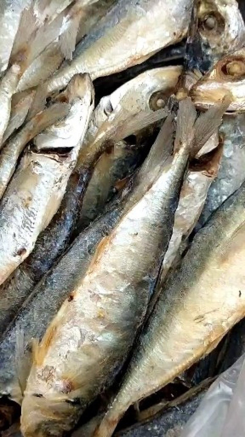 广东波浪鱼干深海鱼无添加剂干度好，诚信经营！