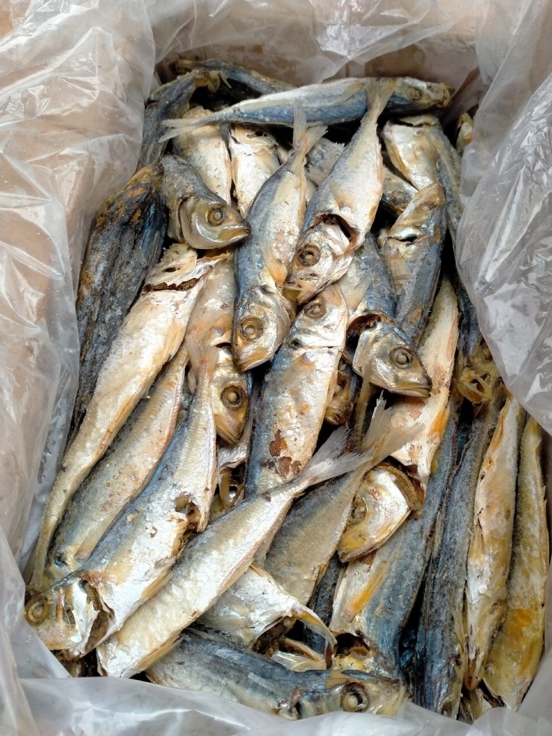 广东波浪鱼干深海鱼无添加剂干度好，诚信经营！