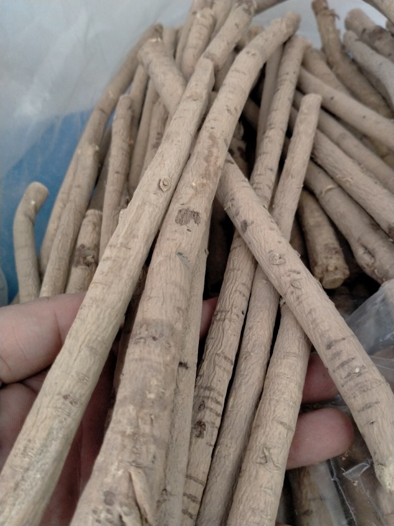 黄芪，正宗甘肃产无硫黄芪干度好，诚信经营！