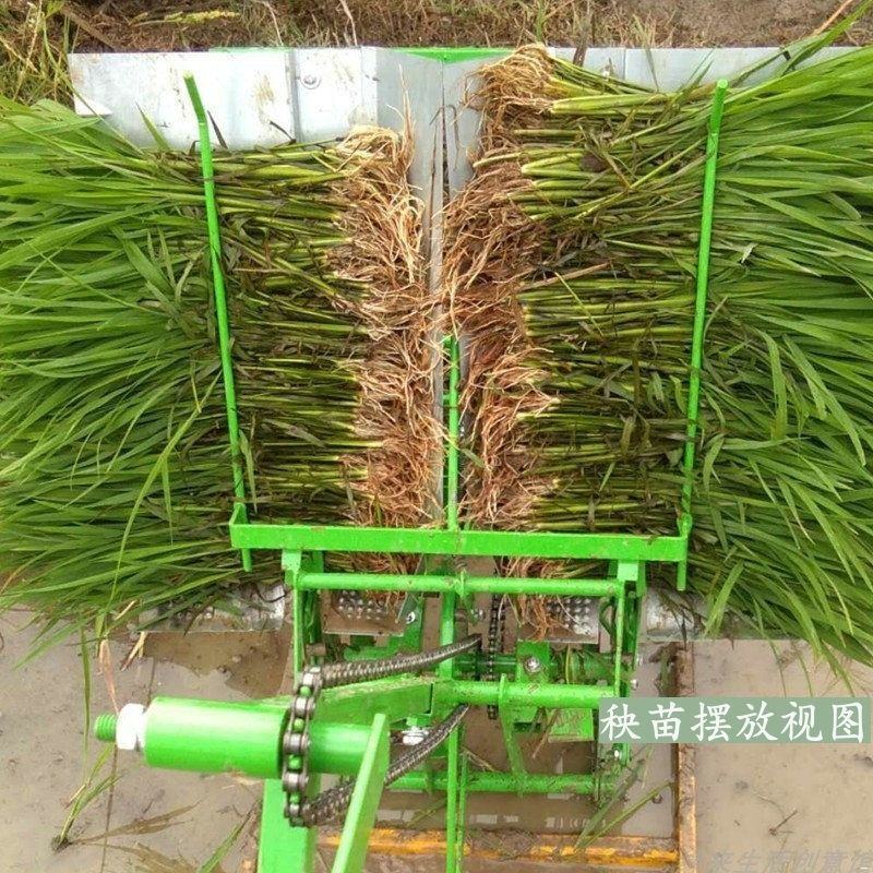 【厂家包邮】水稻插秧机手摇种植机秧苗插秧水稻耕种机招代理