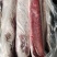 三号肉里脊肉带膘里脊，精瘦肉，，纯瘦肉，肉类产品都有