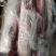 三号肉里脊肉带膘里脊，精瘦肉，，纯瘦肉，肉类产品都有