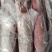三号肉里脊肉带膘里脊，精瘦肉，，纯瘦肉，肉类产品都有